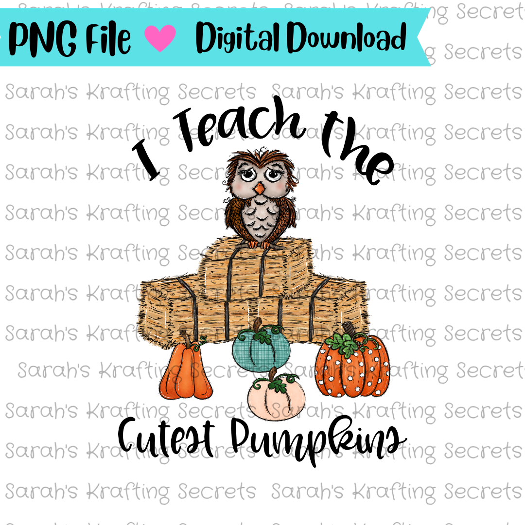 I Teach the Cutest Pumpkins Sublimation Png